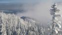 Mountains landscapes nature snow trees fog wallpaper