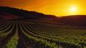 Sunset landscapes nature california napa valley wallpaper