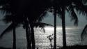Sunset nature trees shadows seascapes reflections coconut tree wallpaper