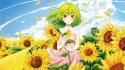 Video games touhou summer kazami yuuka sunflowers wallpaper