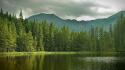 Water clouds nature trees forests lakes pine dupa wallpaper