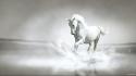 Water running white horse wallpaper