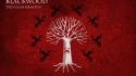 And fire tv series hbo house blackwood wallpaper
