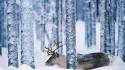 Snow forest deer wallpaper