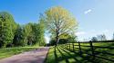 Green landscapes nature trees fences outdoors wallpaper