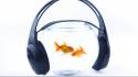 Headphones music goldfish fish bowls wallpaper