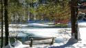 Ice landscapes nature snow coast trees bench spring wallpaper