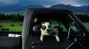 Landscapes dogs trucks national geographic wallpaper
