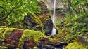 Moss oregon waterfalls columbia wallpaper