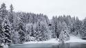 Nature winter snow trees forest wallpaper
