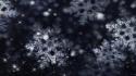 Textures snowflakes monochrome wallpaper