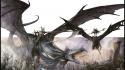Fantasy dragons warhammer high elf dark wallpaper