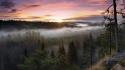 Forest hills fog mist finland hdr photography wallpaper