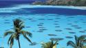 Islands french polynesia palm trees seascapes wallpaper