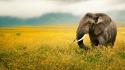 Landscapes nature animals national geographic wallpaper