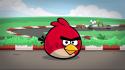 Angry birds wallpaper