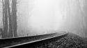 Trees forest mist grayscale railroad tracks wallpaper