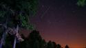 Nature trees stars meteorite nights wallpaper