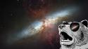 Outer space grizzly bears wallpaper
