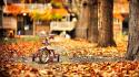 Trees autumn (season) bicycles parks fallen leaves wallpaper