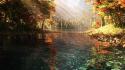 Water nature forest wallpaper
