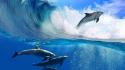 Water nature waves animals dolphins wallpaper