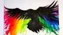 Animals rainbows crows wallpaper