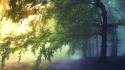 Landscapes nature trees paths fairies mystical dawning wallpaper