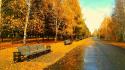 Nature streets autumn wallpaper
