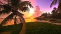 Sunset clouds landscapes nature coast trees florida palm wallpaper