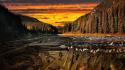 Sunset landscapes wood earth rivers wallpaper