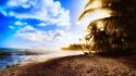Coast sun palm trees heat sky beach wallpaper