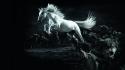 Dark horses digital art artwork white horse wolves wallpaper