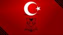Baykuş reyis incisi ker sözlük türk bayrağı wallpaper