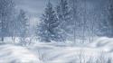 Landscapes nature winter snow trees wallpaper