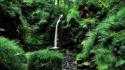 Nature trees wood forests rocks waterfalls wallpaper