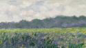 Paintings fields giverny claude monet irises impressionism wallpaper