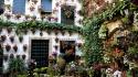 Flowers houses spain andalusian cordoba wallpaper