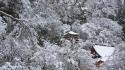 Japan landscapes snow trees asia temple wallpaper