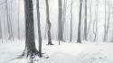 Landscapes nature snow trees forests wallpaper