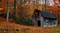 Landscapes nature trees forest houses wallpaper
