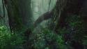 Landscapes trees movies avatar forest plants film wallpaper