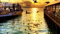 Nature seattle boats sunlight birds sea wallpaper