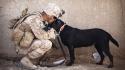 Soldiers army military animals dogs people usa wallpaper