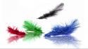 Green blue black red artistic feathers wallpaper