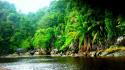 Green water landscapes nature trees forests rocks lakes wallpaper