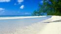 Landscapes nature sand trees white bahamas beach wallpaper