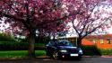 Cars turbo volkswagen passat vw 3b flowered trees wallpaper