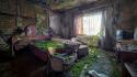 Green room interior abandoned house growing wallpaper
