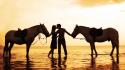 Love happy horses valentines day wallpaper